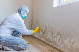 Mold Remediation for Vacation Homes in Sterling, KS