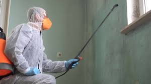 Trusted Sterling, KS Mold Removal Services Experts